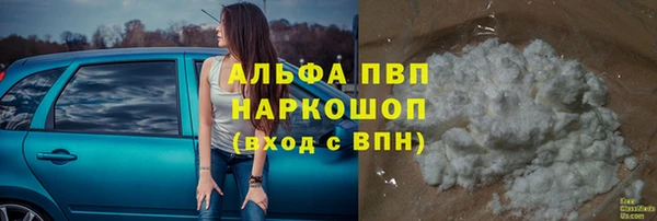прущие крисы Белокуриха