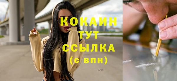 ECSTASY Богородицк