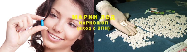 прущие крисы Белокуриха