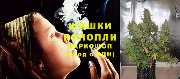 ECSTASY Богородицк